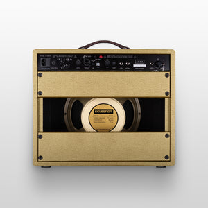 Revv D25 Combo Amp, Back of the amp, Gold